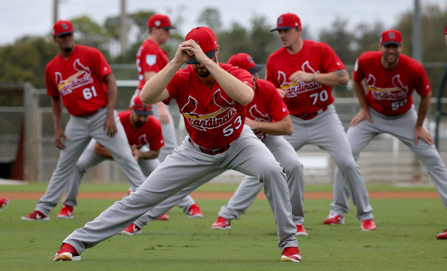 Cardinals spring training